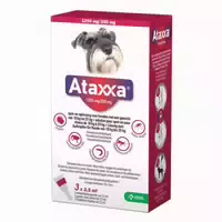 Ataxxa 1250 mg 250 mg Lösung zum Auftropfen für Hunde von 10 25