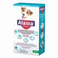 Ataxxa 500 mg 100 mg Lösung zum Auftropfen für Hunde von 4 10 kg