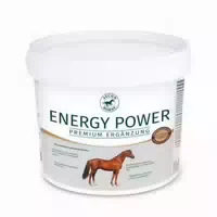 Atcom Energy Power