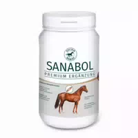 Atcom Sanabol