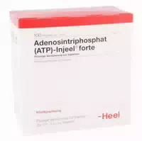 Atp Injeel Forte Ampullen 10 St Ampullen