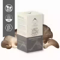 Austernpilz mit Vitamin C von Hrotlife, 60 Kapseln