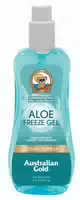 Aloe Freeze Spray Gel