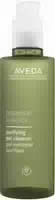 Aveda Botanical Kinetics Purifying Gel Cleanser