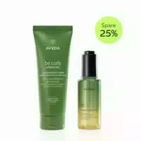 Aveda Define & Shine Duo