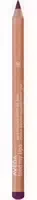 Aveda Feed My Lips Pure Nourish Mint Lip Liner 1,14