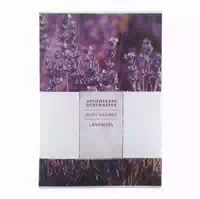 Apothekers Duftwelten Duft Sachet Lavendel 1 St Beutel