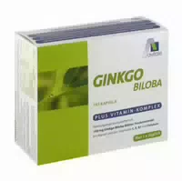 Ginkgo 100 Mg Kapseln B1 C E