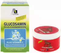 Glucosamin 500 mg Chondroitin 400 mg Gratis Pferdesalbe m Rosskastanie 250ml