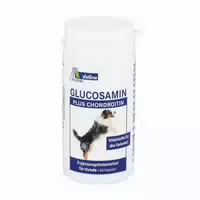 Avitale Glucosamin Plus Chondroitin Vet 120 St Kapseln