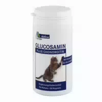 Avitale Glucosamin Plus Chondroitin Vet 60 St Kapseln