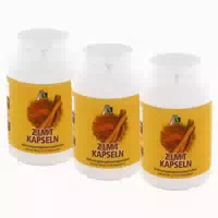 Avitale Zimt Kapseln 500 Mg 3x120 St