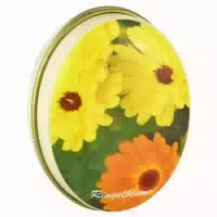 Pillendose Oval Hildegard Von Bingen Motive Sortiert