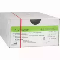6 st