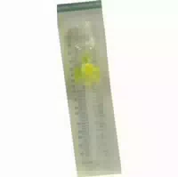 B Braun Vasofix Safety Venenverweilkanüle Gelb, Pur 24g, 0,7 X 19mm 1 St
