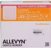 Allevyn Gentle Border 12,5x12,5 cm Schau 10 st