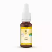 Bachblüten No 15 Holly Bio 20 Ml
