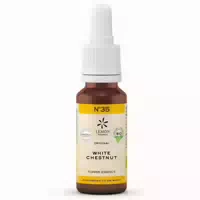 Bachblüten Original Red Chestnut Nr 25 20 Ml Tropfen
