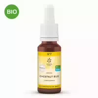 Bachblüten No 7 Chestnut Bud Bio 20 Ml
