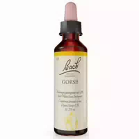 Bachblüten Original Gorse Nr 13 20 ml Tropfen