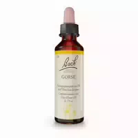 Bachblüten Original Gorse Nr 13 20 Ml Tropfen
