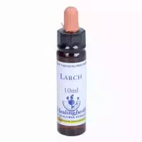 Bachblüten Larch Healing Herbs Tropfen 10 ml