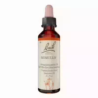 Original Bachblüten Mimulus 20 ml