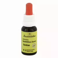 Bachblüten Murnauer Gentian 20 ml Tropfen