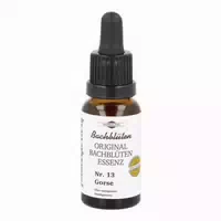 Bachblüten Murnauer Gorse Tropfen 20 ml