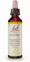 Bachblüten Mustard 20 ml Tropfen