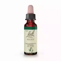 Bachblüten Original Walnut Nr 33 10 Ml Tropfen