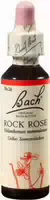 Bachblüten Rock Rose 20 ml Tropfen