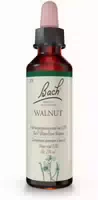 Bachblüten Walnut 20 ml Tropfen