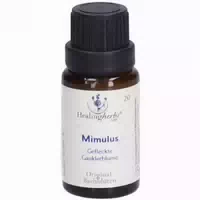 Bachblüten Walnut Globuli Healing Herbs