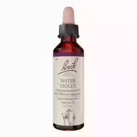 Bachblüten Water Violet Tropfen