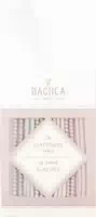 Bachca Thin Elastics Pastel Colored And Lurex