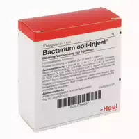 Bacterium Coli Injeel Ampullen