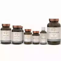 3 Phasen Darmkur