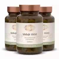 Shilajit 1300 Kapseln