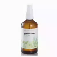 Annumisia Artemisia Annua Hydrolat Alkoholfrei
