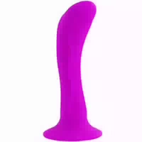 Baile Dildo und Analplug