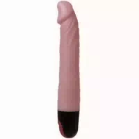 Baile Vibrator Multispeed