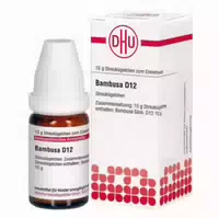 Bambusa D 12 Globuli