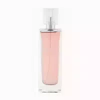 Banana Republic Wildbloom Rouge Eau De Parfum 100ml 0,1 l