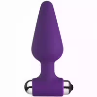 Baseks Vibrierender Kleiner Analplug 8,6 Cm