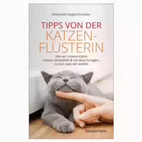 Tipps Von Der Katzenflüsterin Wie Wir Unsere Katze