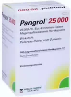 Pangrol 25000 100 Hartkapseln mit Magensaftresistenten Überzug