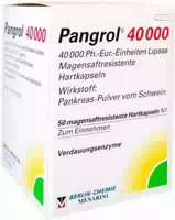 Pangrol 40000 Magensaftresistente Kapseln