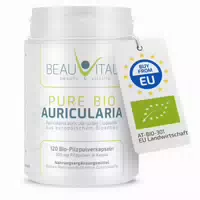 Hawlik Bio Auricularia Pulver 100 g