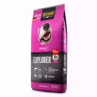Belcando Explorer